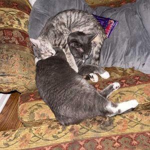 Meet your Posher, Breanna